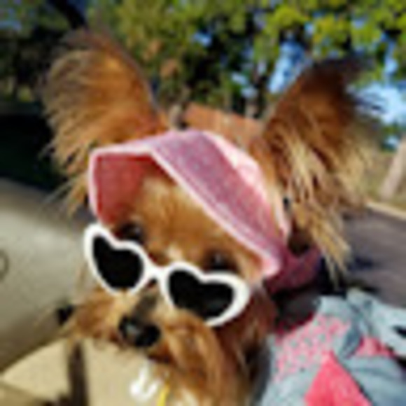 Meet your Posher, Tracie - Picture 1 of 1